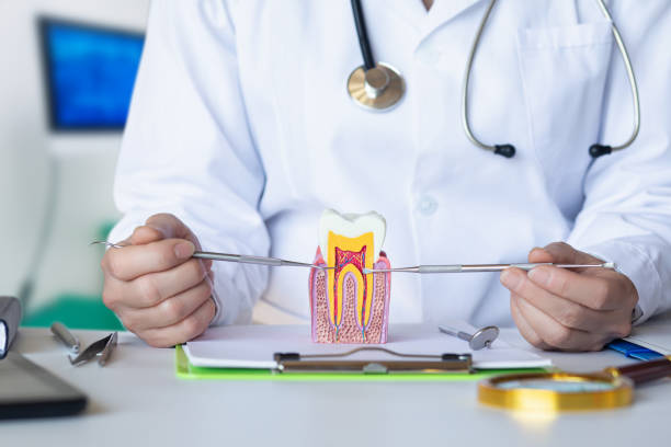 Best Emergency Root Canal Treatment in North Warren, PA